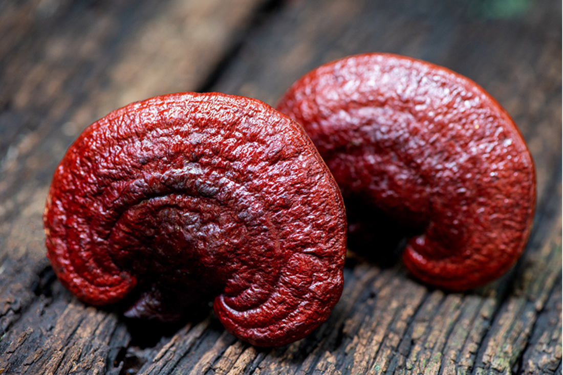 How to Improve Your Sleep This Spring