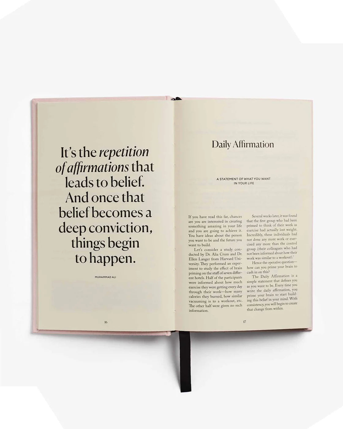 5 Min Journal - Pink - Mycelyum Inc.