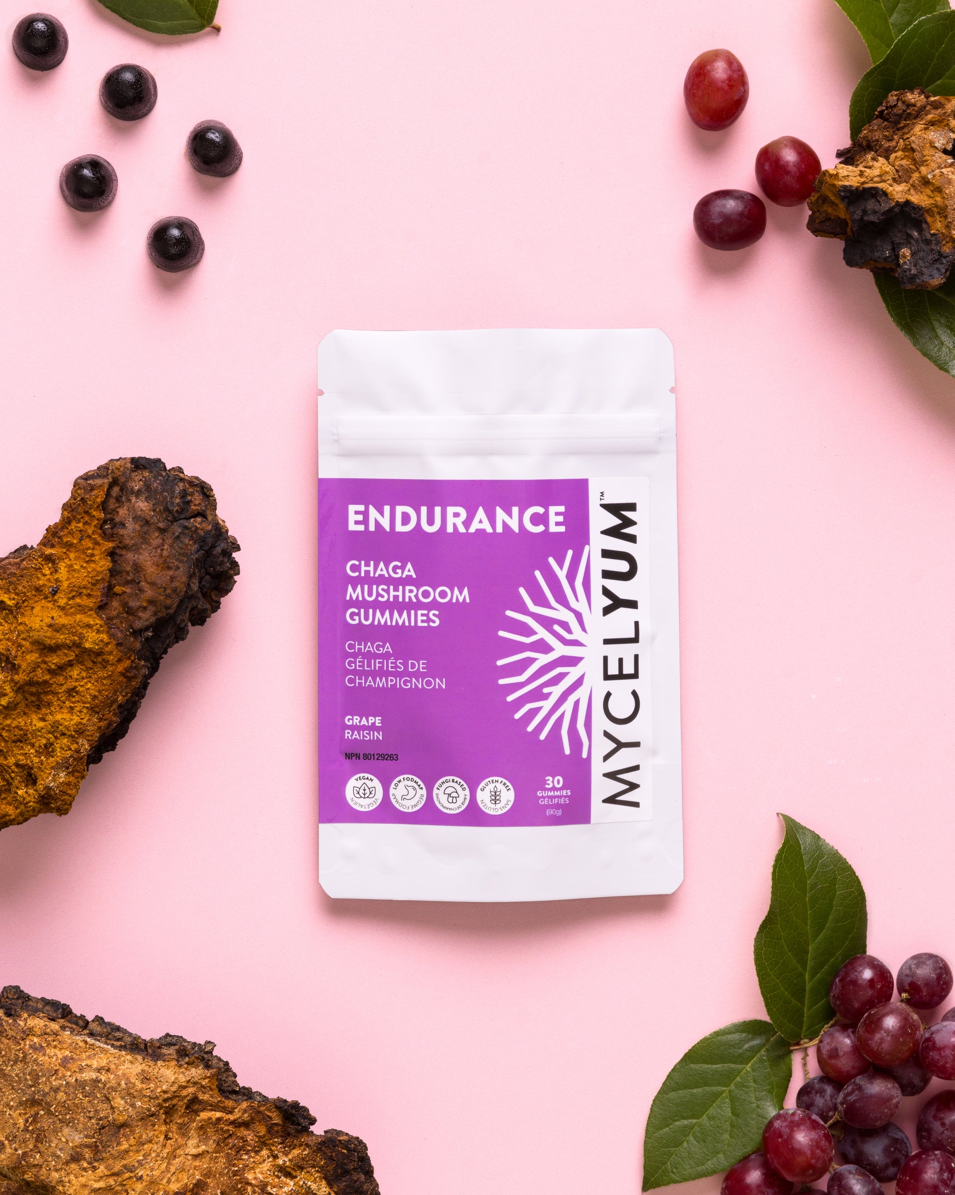 ENDURANCE with Chaga - Mycelyum Inc.