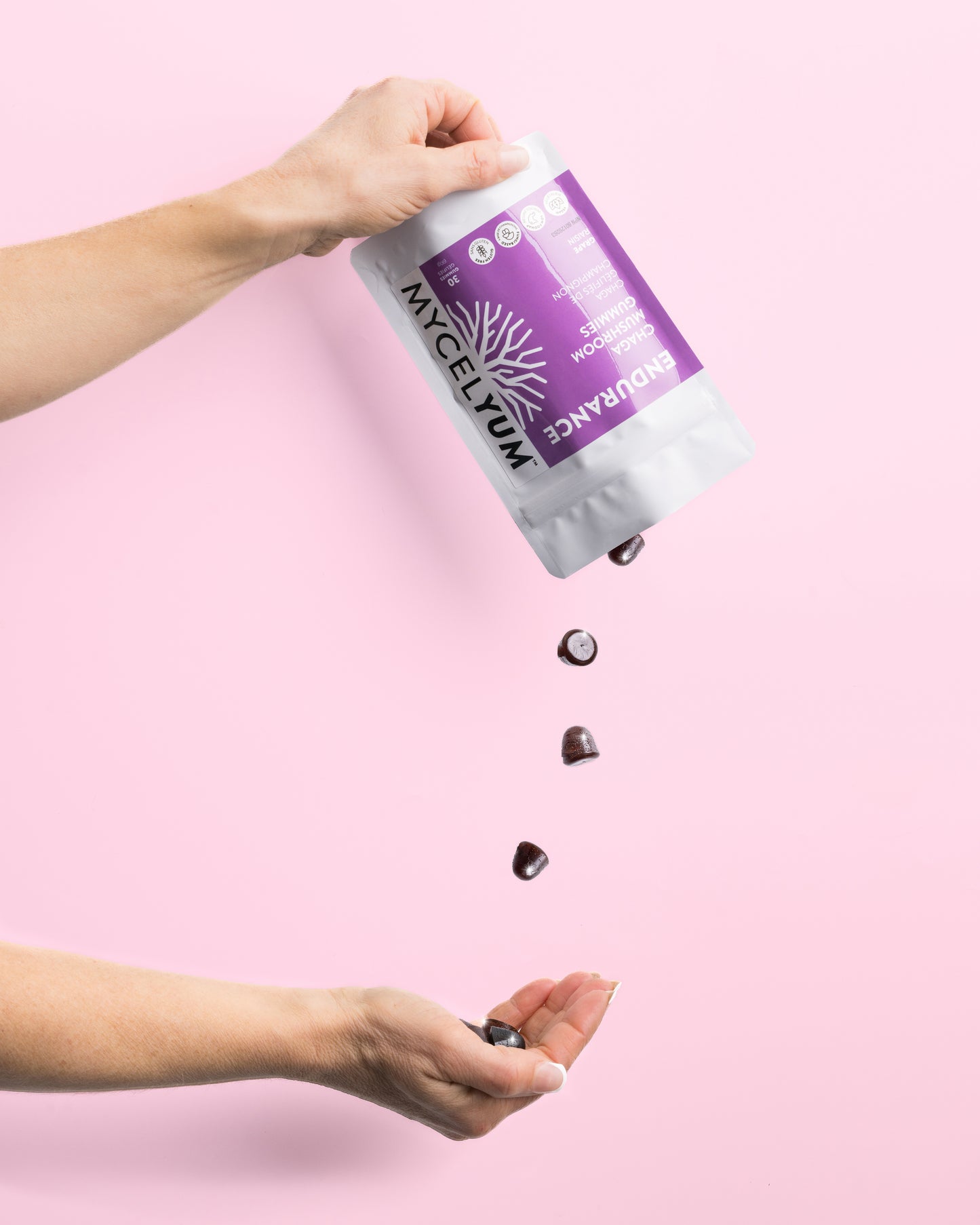 ENDURANCE with Chaga - Mycelyum Inc.