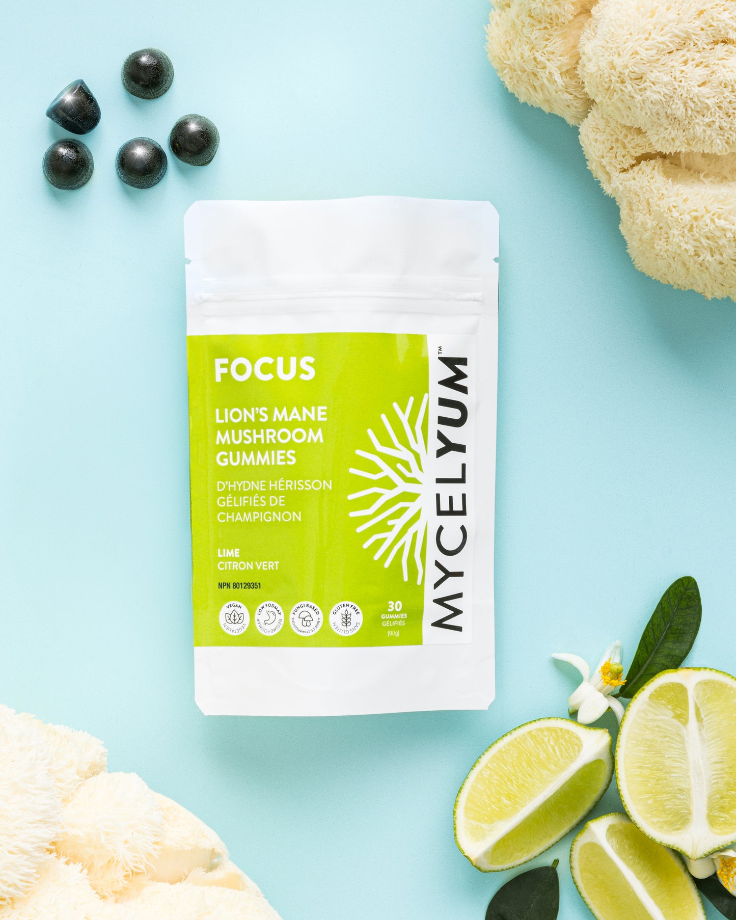 FOCUS with Lion's Mane - Mycelyum Inc.