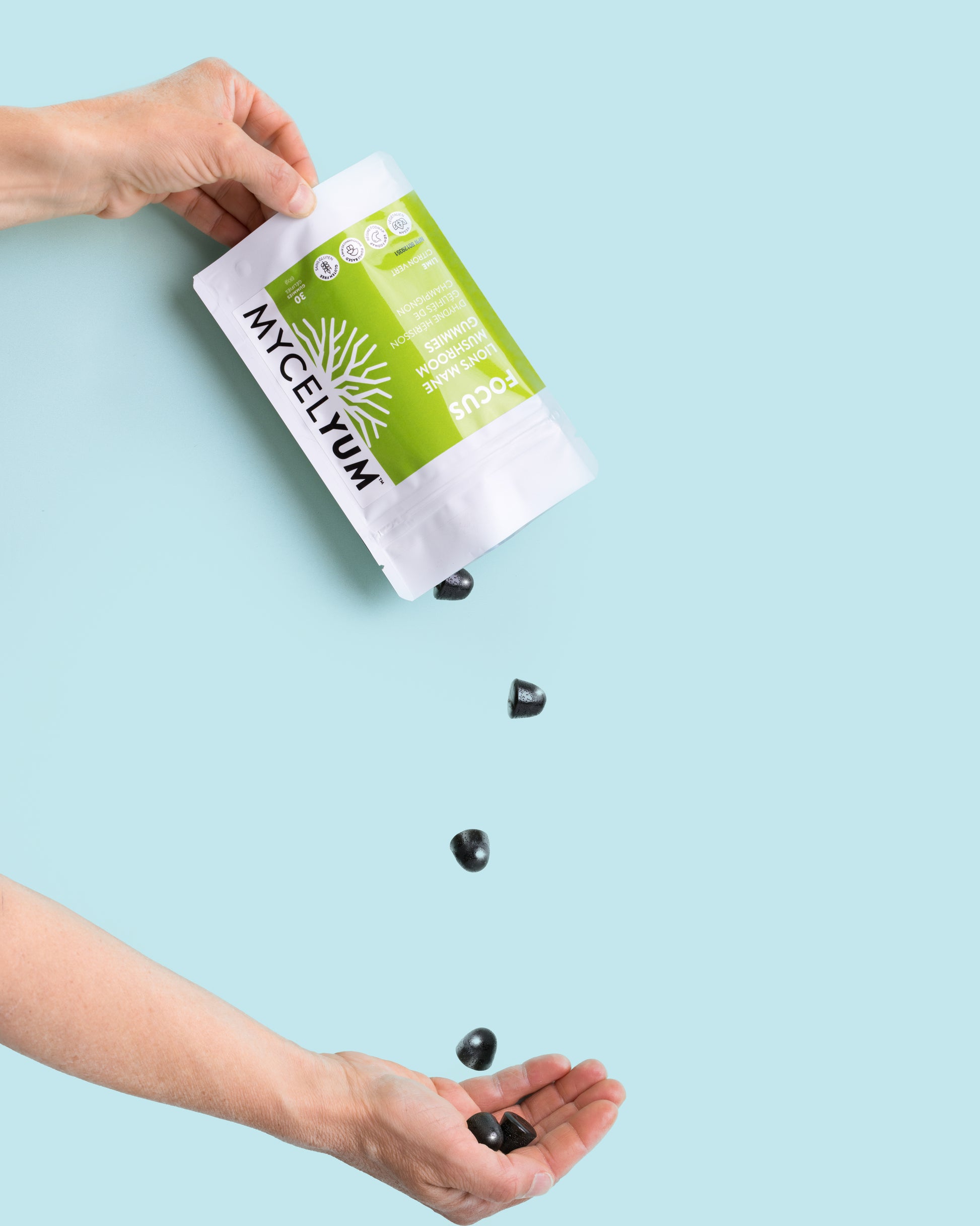 FOCUS with Lion's Mane - Mycelyum Inc.