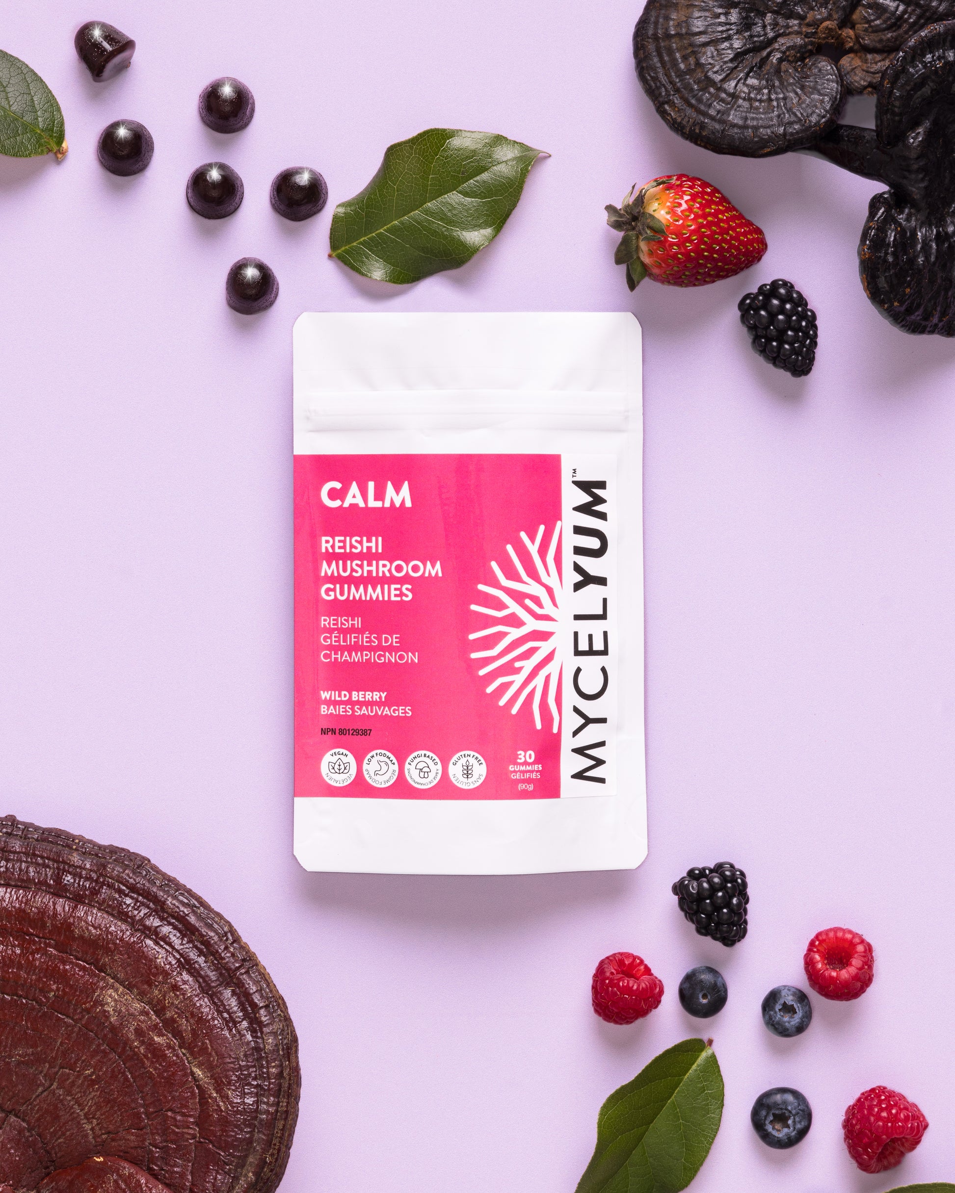 CALM with Reishi - Mycelyum Inc.