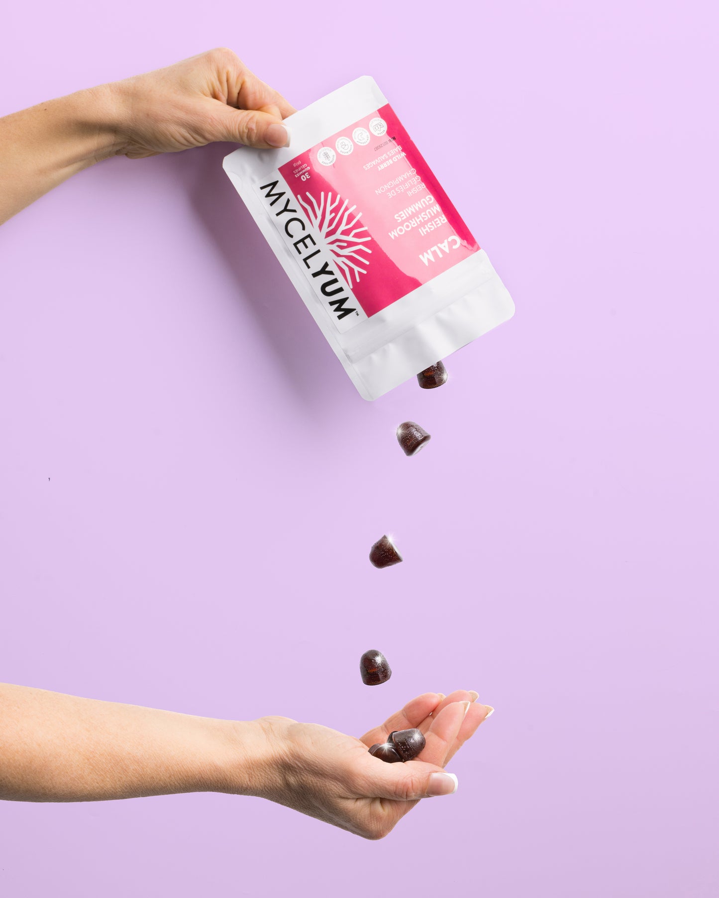 CALM with Reishi - Mycelyum Inc.