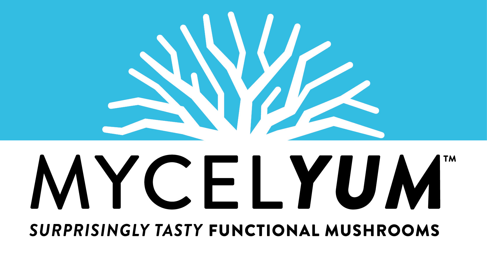 Mushroom Powder – Myceliyum