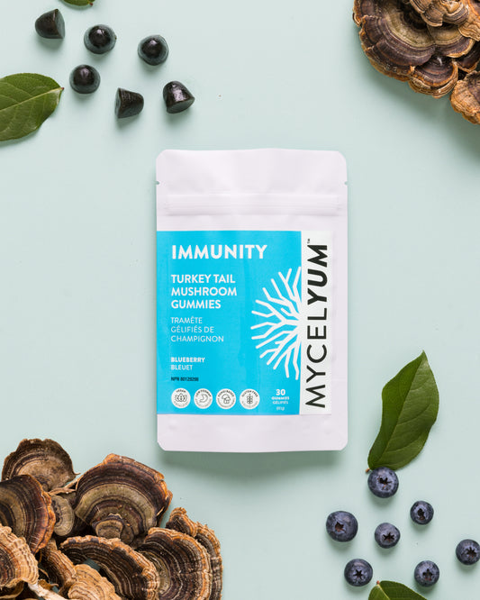 IMMUNITY with Turkey Tail - Mycelyum Inc.