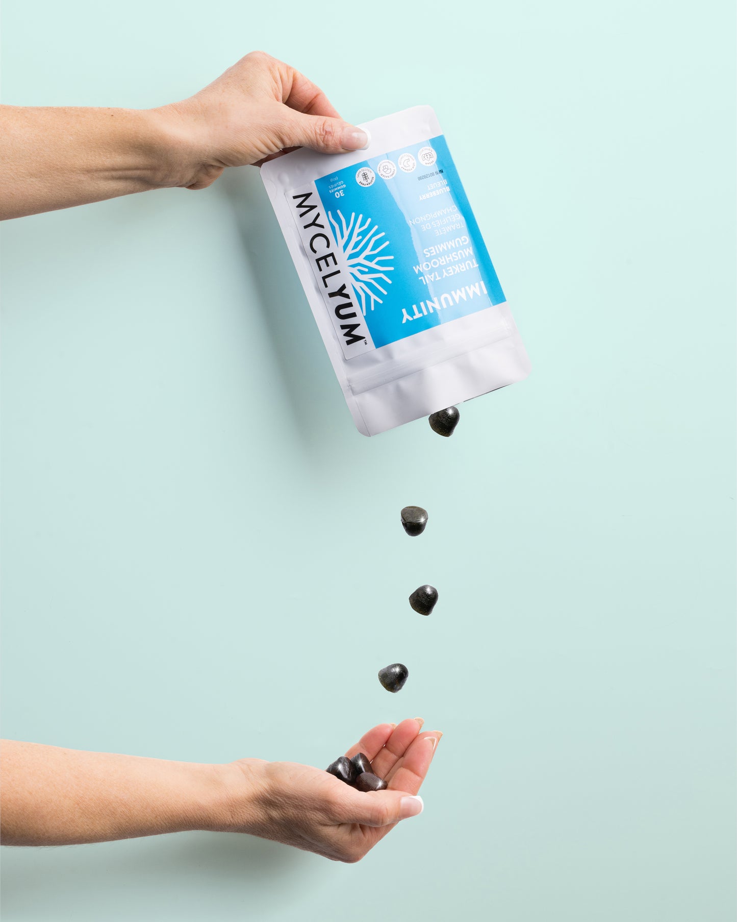 IMMUNITY with Turkey Tail - Mycelyum Inc.