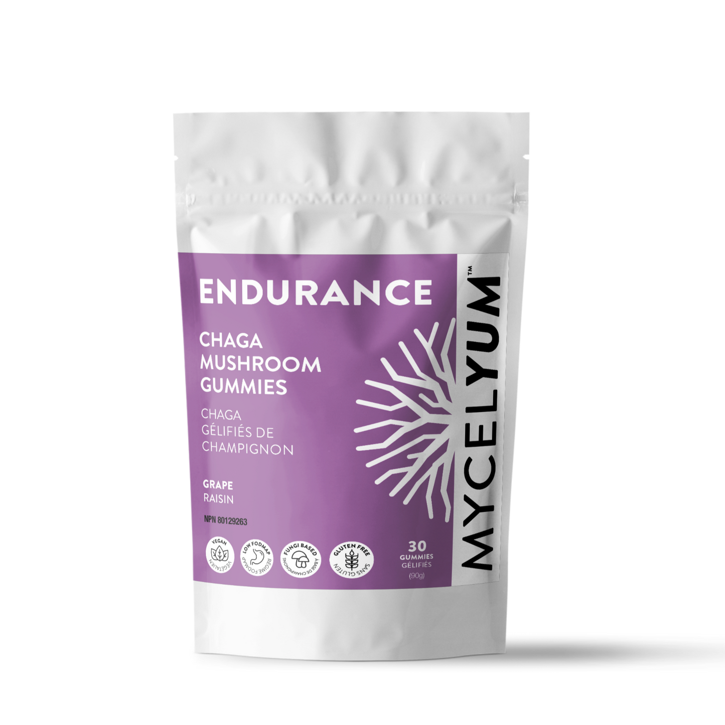 ENDURANCE with Chaga - Mycelyum Inc.