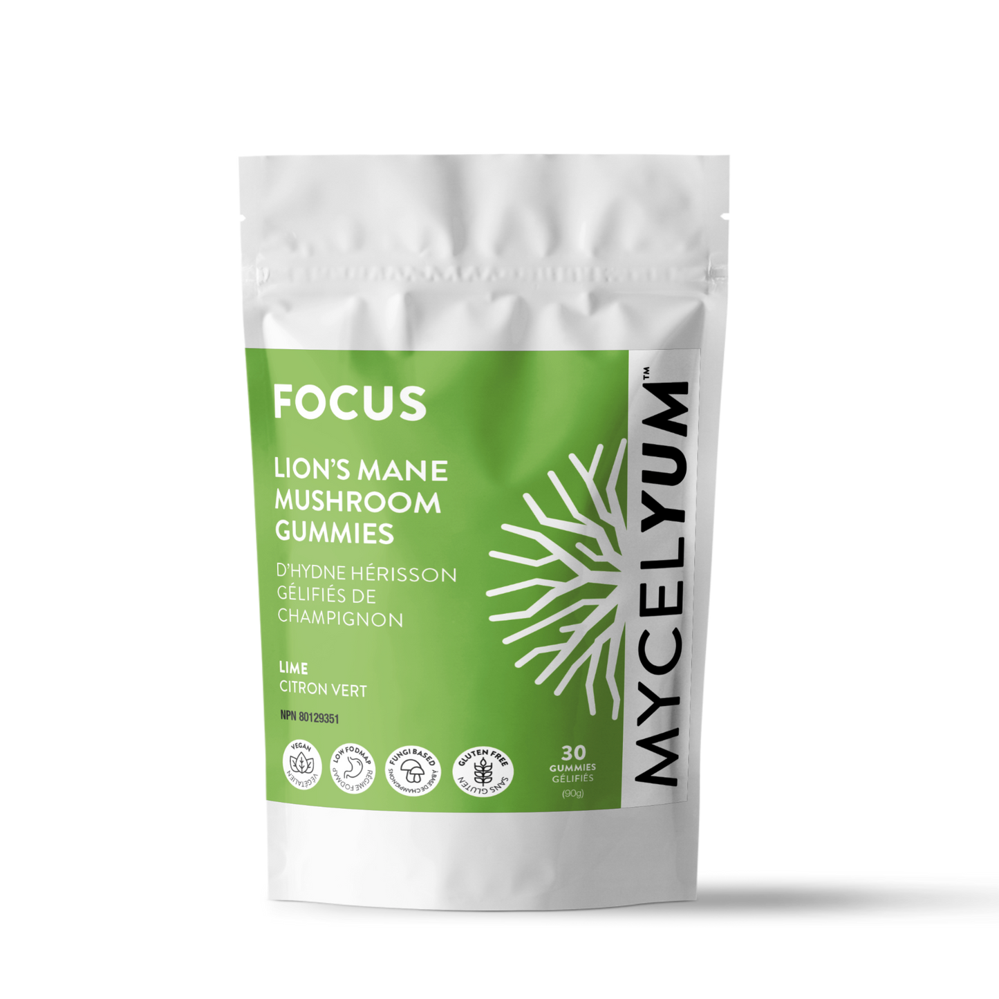 FOCUS with Lion's Mane - Mycelyum Inc.