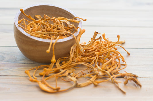 Cordyceps Mushroom: Your Natural Ally for Spring Allergy Relief
