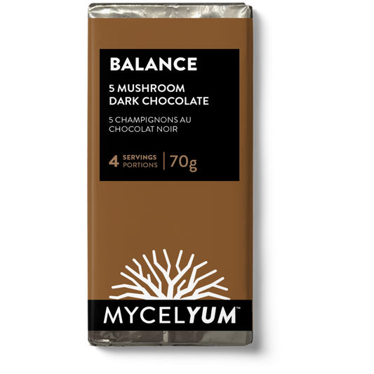 BALANCE with 5 Mushrooms | Dark Chocolate
