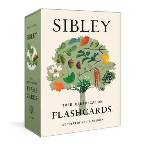 Tree Identification Flashcards: 100 Trees of North America - Sibley - Mycelyum Inc.