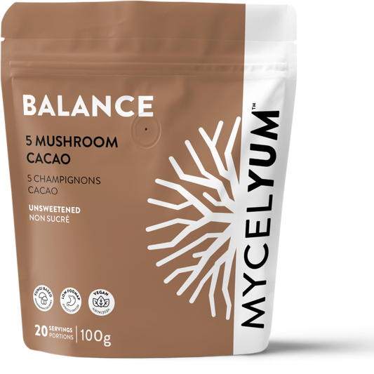 BALANCE Alkalized Cacao Latte Mix with 5 Mushrooms | Wholesale - Mycelyum Inc.