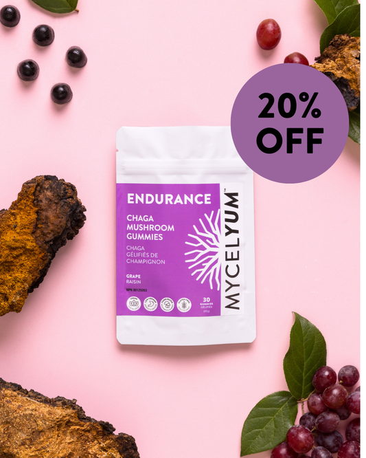 ENDURANCE with Chaga - Mycelyum Inc.