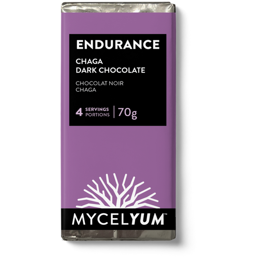 ENDURANCE with Chaga | Dark Chocolate