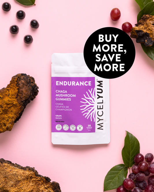 ENDURANCE with Chaga