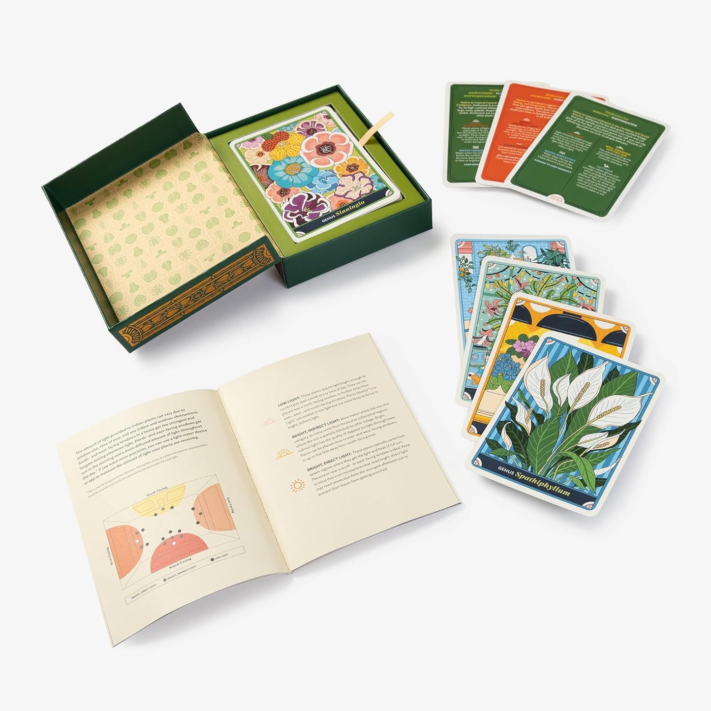 The Happy Houseplant Deck - Mycelyum Inc.