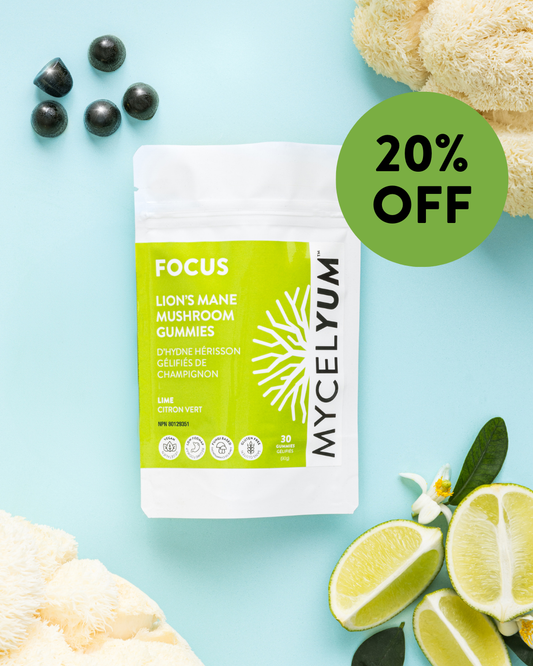 FOCUS with Lion's Mane - Mycelyum Inc.