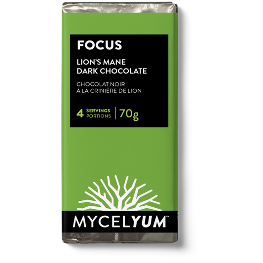 FOCUS with Lion's Mane | Dark Chocolate