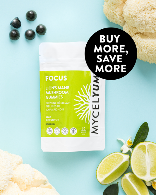 FOCUS with Lion's Mane