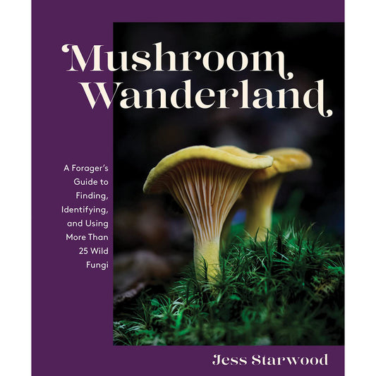 Mushroom Wanderland: A Forager's Guide to Finding, Identifying, and Using More Than 25 Wild Fungi - Mycelyum Inc.