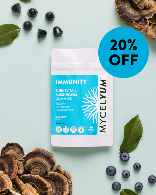 IMMUNITY with Turkey Tail - Mycelyum Inc.