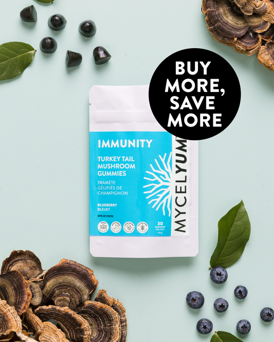 IMMUNITY with Turkey Tail